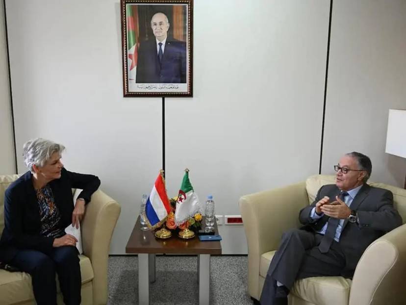 السيد بلاني يستقبل سفيرة هولندا بالجزائر